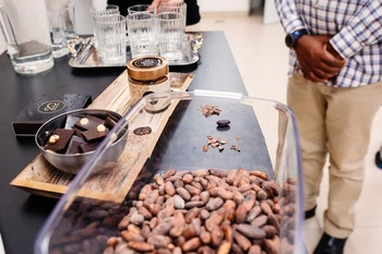 20 chocolate – cokolada koja ce vas oduseviti vec prvim ugrizom