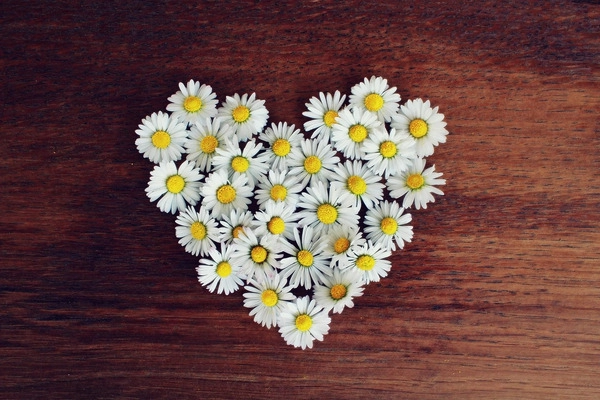 cokoladni pokloni za valentinovo za nju i njega