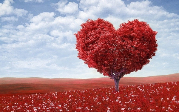 valentinovo i darivanje online trgovina moja cokolada