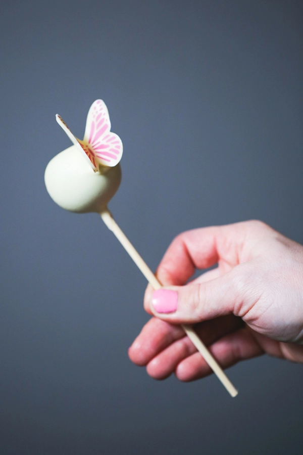 Cakepops & Popsicles Slastičarski paket