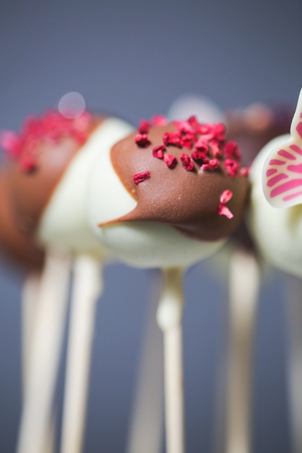 Cakepops & Popsicles Slastičarski paket