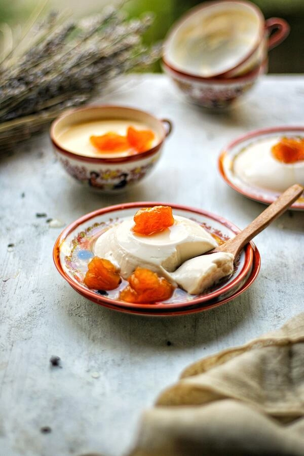 panna cotta s jogurtom kajsijama i medom