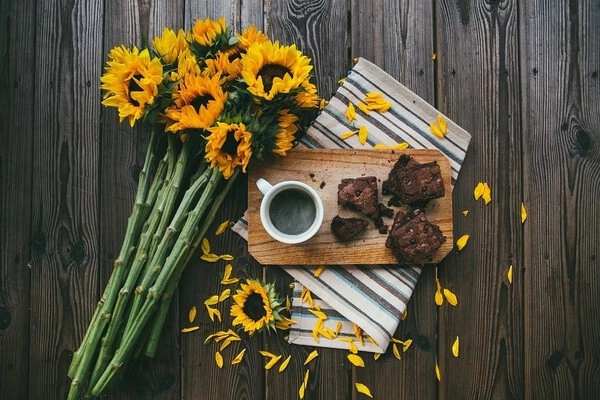 coko brownies